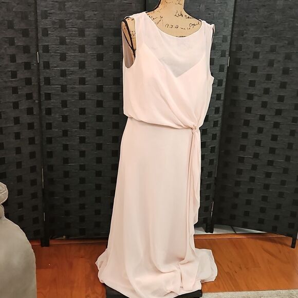 NWT Jenny Yoo Paltrow Gown Soft Blush Pink Luxe Ciffon Size 12 - Picture 3 of 14